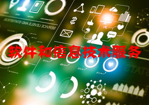 軟件和信息技術服務行業運行態勢與競爭格局分析——聚焦信息技術咨詢服務